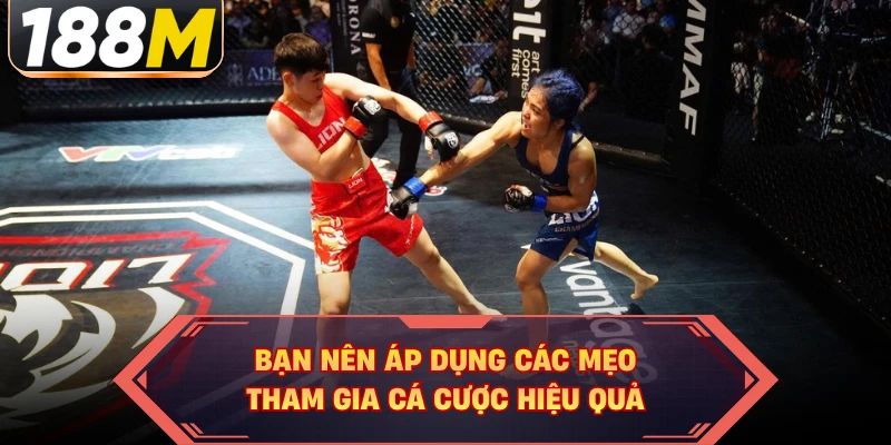 Bạn nên áp dụng các mẹo tham gia cá cược hiệu quả